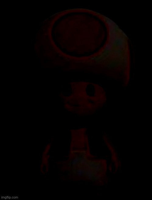 What the hell did I do? | image tagged in toad model tsmbm | made w/ Imgflip meme maker