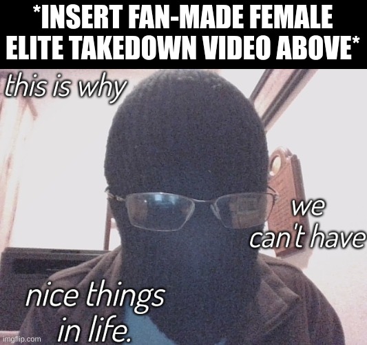 I'm not posting the video OR gif of it because that is sickening. New template, link in comments | *INSERT FAN-MADE FEMALE ELITE TAKEDOWN VIDEO ABOVE* | image tagged in this is why we can't have nice things in life | made w/ Imgflip meme maker