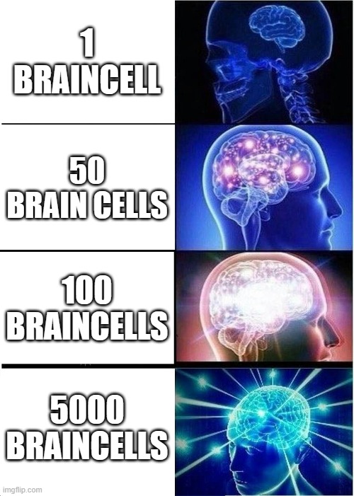 Expanding Brain Meme | 1 BRAINCELL; 50 BRAIN CELLS; 100 BRAINCELLS; 5000 BRAINCELLS | image tagged in memes,expanding brain | made w/ Imgflip meme maker
