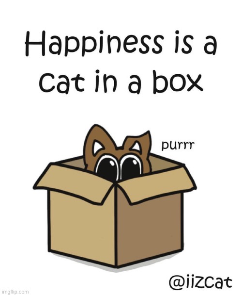 Happiness is a cat in a box | image tagged in cats,happiness,wholesome,memes,box,funny | made w/ Imgflip meme maker