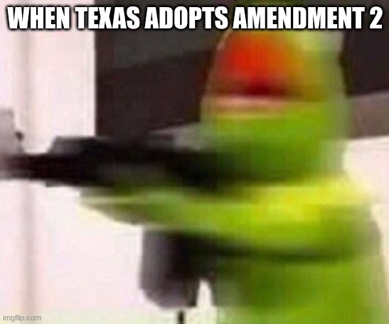 school shooter (muppet) | WHEN TEXAS ADOPTS AMENDMENT 2 | image tagged in school shooter muppet | made w/ Imgflip meme maker