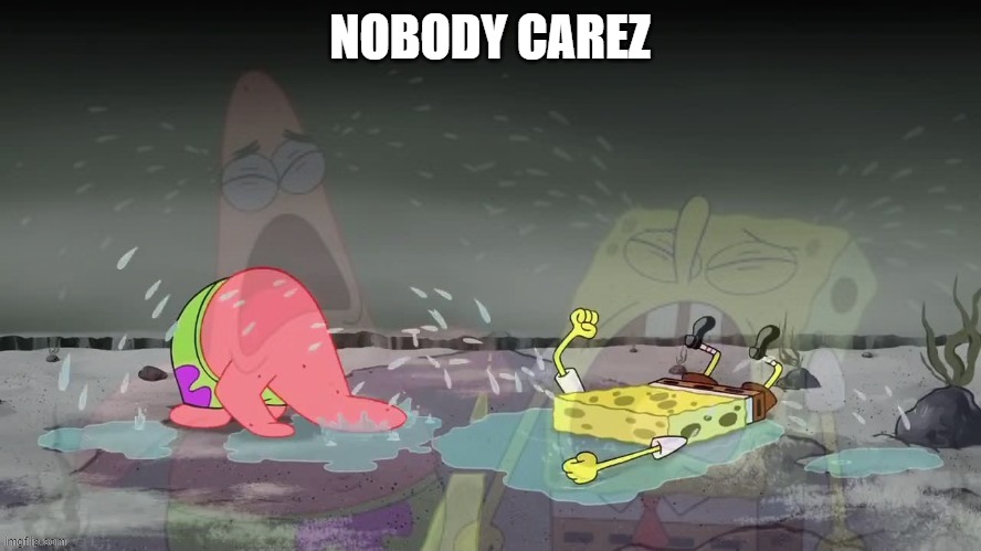 Spongebob and Patrick crying | NOBODY CAREZ | image tagged in spongebob and patrick crying | made w/ Imgflip meme maker