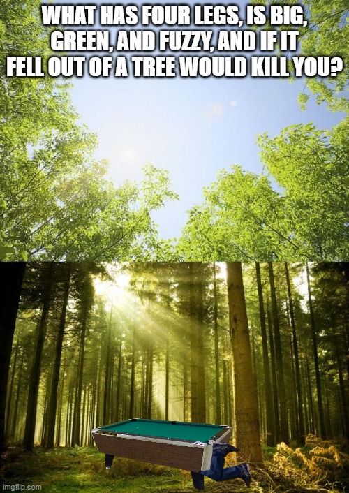 WHAT HAS FOUR LEGS, IS BIG, GREEN, AND FUZZY, AND IF IT FELL OUT OF A TREE WOULD KILL YOU? | image tagged in sunshine trees,sunlit forest | made w/ Imgflip meme maker
