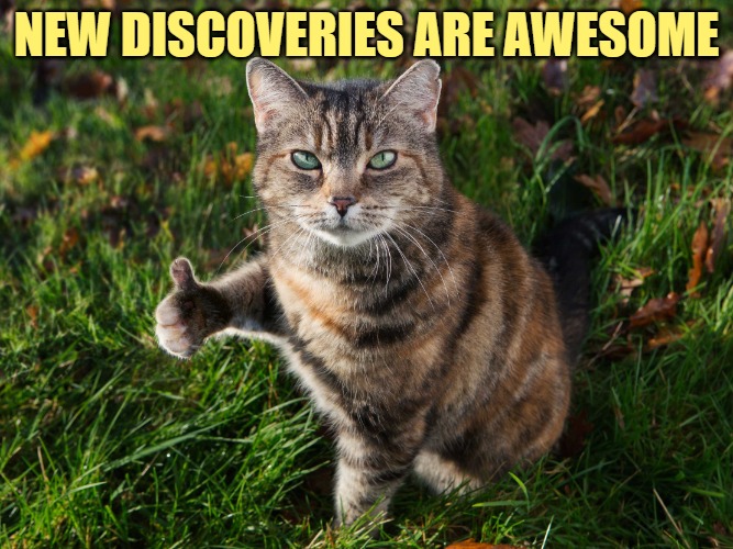 THUMBS UP CAT | NEW DISCOVERIES ARE AWESOME | image tagged in thumbs up cat | made w/ Imgflip meme maker