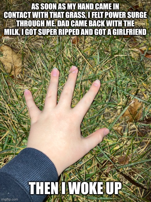 Can you relate? | AS SOON AS MY HAND CAME IN CONTACT WITH THAT GRASS, I FELT POWER SURGE THROUGH ME. DAD CAME BACK WITH THE MILK, I GOT SUPER RIPPED AND GOT A GIRLFRIEND; THEN I WOKE UP | image tagged in touching,grass | made w/ Imgflip meme maker