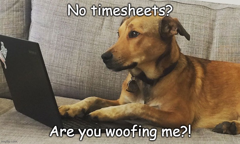 Dog Timesheet Reminder | No timesheets? Are you woofing me?! | image tagged in typing dog at computer,fill in your timesheets | made w/ Imgflip meme maker