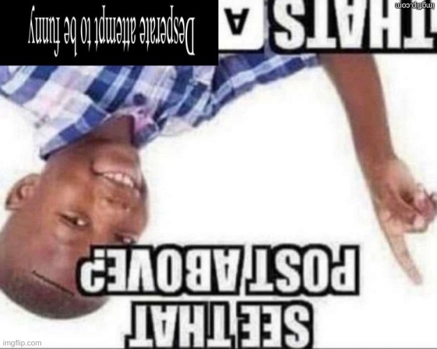 The post below is a desperate attempt to be funny | made w/ Imgflip meme maker