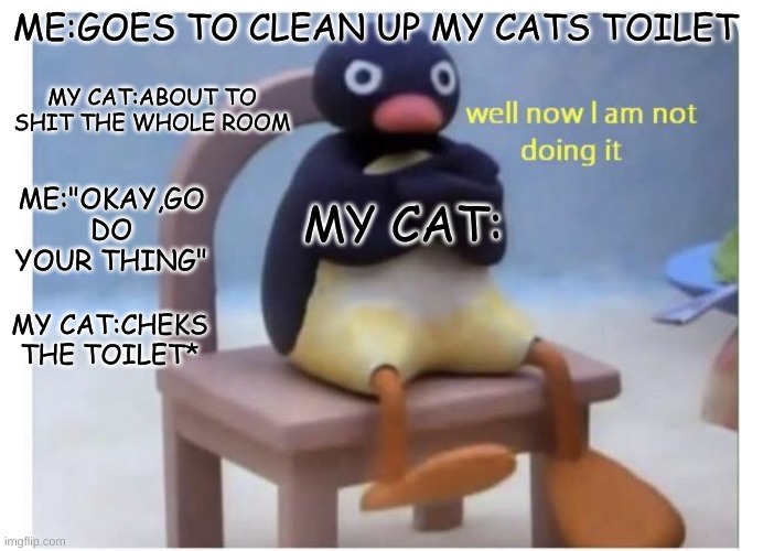 well now I am not doing it | ME:GOES TO CLEAN UP MY CATS TOILET; MY CAT:ABOUT TO SHIT THE WHOLE ROOM; ME:"OKAY,GO DO YOUR THING"; MY CAT:; MY CAT:CHEKS THE TOILET* | image tagged in well now i am not doing it | made w/ Imgflip meme maker