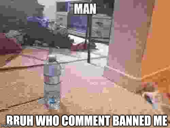 In msmg I mean | BRUH WHO COMMENT BANNED ME | image tagged in man | made w/ Imgflip meme maker