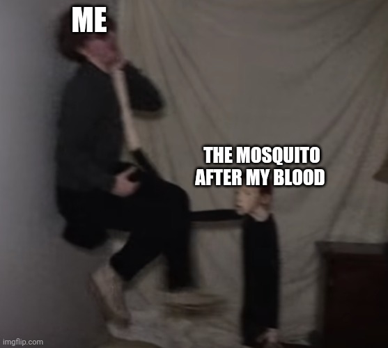 When the mosquito after your blood ain't playing around | ME; THE MOSQUITO AFTER MY BLOOD | image tagged in life of luxury doll | made w/ Imgflip meme maker