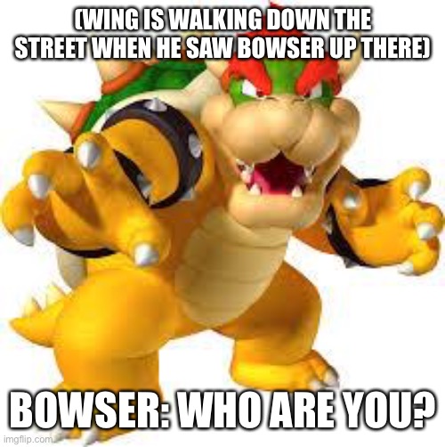 Bowser meets Wing |  (WING IS WALKING DOWN THE STREET WHEN HE SAW BOWSER UP THERE); BOWSER: WHO ARE YOU? | image tagged in bowser | made w/ Imgflip meme maker
