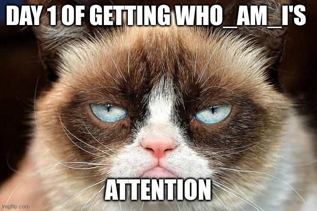 Grumpy Cat Not Amused | DAY 1 OF GETTING WHO_AM_I'S; ATTENTION | image tagged in memes,grumpy cat not amused,grumpy cat | made w/ Imgflip meme maker