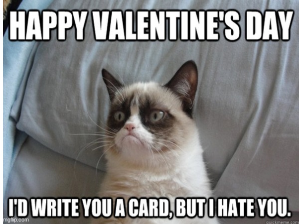image tagged in valentines | made w/ Imgflip meme maker