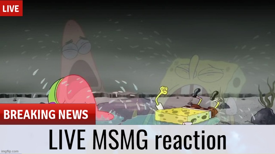 LIVE MSMG reaction | made w/ Imgflip meme maker