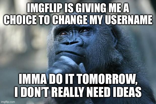(I had to disable because moonman is being annoying as always) | IMGFLIP IS GIVING ME A CHOICE TO CHANGE MY USERNAME; IMMA DO IT TOMORROW, I DON’T REALLY NEED IDEAS | image tagged in deep thoughts | made w/ Imgflip meme maker