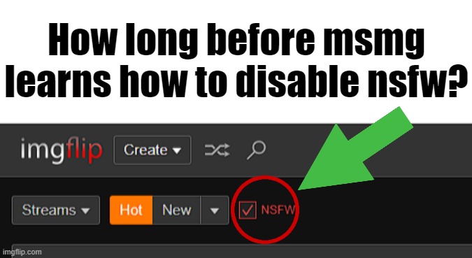 How long before msmg learns how to disable nsfw? | image tagged in blank white template | made w/ Imgflip meme maker