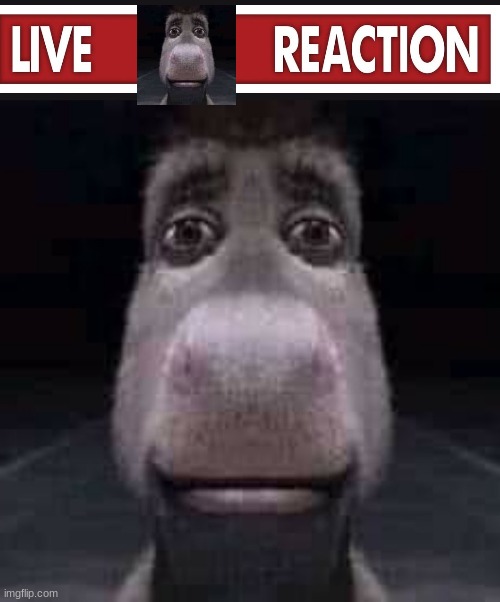 Donkey staring | image tagged in donkey staring | made w/ Imgflip meme maker