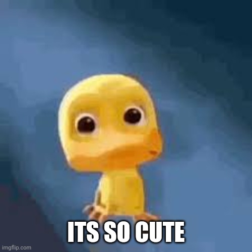 Crying duck | ITS SO CUTE | image tagged in crying duck | made w/ Imgflip meme maker