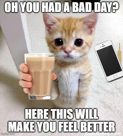 idk what to put here | OH YOU HAD A BAD DAY? HERE THIS WILL MAKE YOU FEEL BETTER | image tagged in memes,cute cat | made w/ Imgflip meme maker