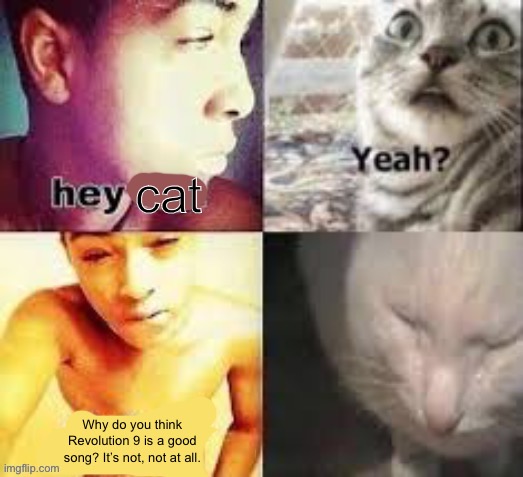 Hey cat | cat; Why do you think Revolution 9 is a good song? It’s not, not at all. | image tagged in hey cat | made w/ Imgflip meme maker