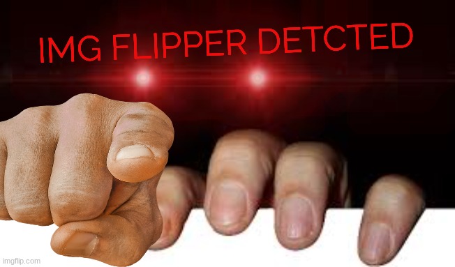 IMG FLIPPER DETCTED | made w/ Imgflip meme maker