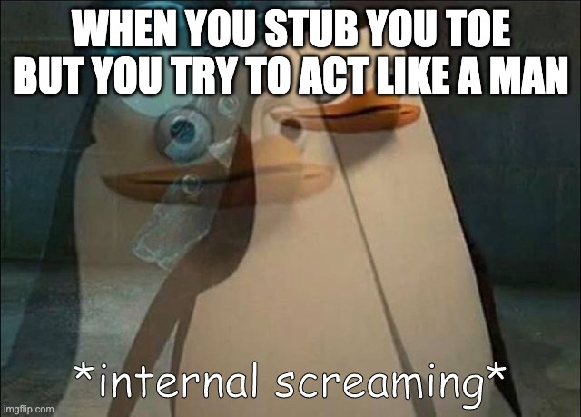 Private Internal Screaming | WHEN YOU STUB YOU TOE BUT YOU TRY TO ACT LIKE A MAN | image tagged in private internal screaming | made w/ Imgflip meme maker