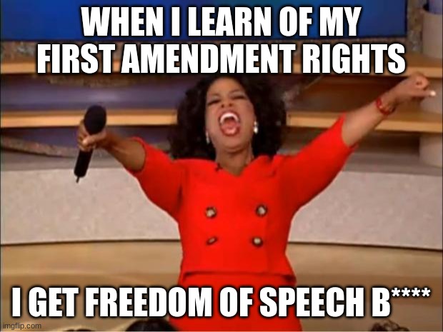 Oprah You Get A Meme | WHEN I LEARN OF MY FIRST AMENDMENT RIGHTS; I GET FREEDOM OF SPEECH B**** | image tagged in memes,oprah you get a | made w/ Imgflip meme maker