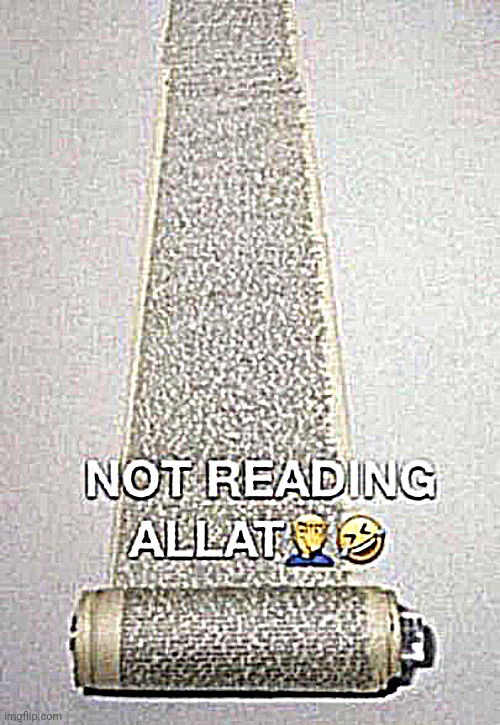 Not reading allat | image tagged in not reading allat | made w/ Imgflip meme maker