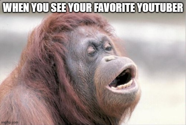 Monkey OOH | WHEN YOU SEE YOUR FAVORITE YOUTUBER | image tagged in memes,monkey ooh | made w/ Imgflip meme maker