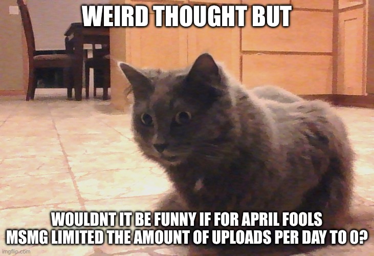 Just for the day as a joke | WEIRD THOUGHT BUT; WOULDNT IT BE FUNNY IF FOR APRIL FOOLS MSMG LIMITED THE AMOUNT OF UPLOADS PER DAY TO 0? | image tagged in deep thought cat,april fools | made w/ Imgflip meme maker