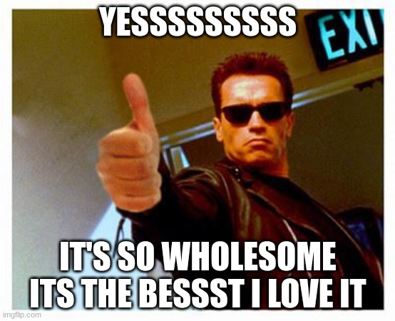 terminator thumbs up | YESSSSSSSSS IT'S SO WHOLESOME ITS THE BESSST I LOVE IT | image tagged in terminator thumbs up | made w/ Imgflip meme maker