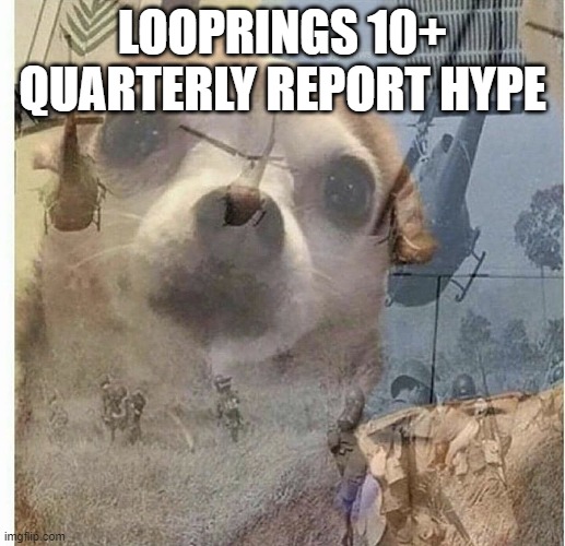 war flashback dog | LOOPRINGS 10+ QUARTERLY REPORT HYPE | image tagged in war flashback dog | made w/ Imgflip meme maker