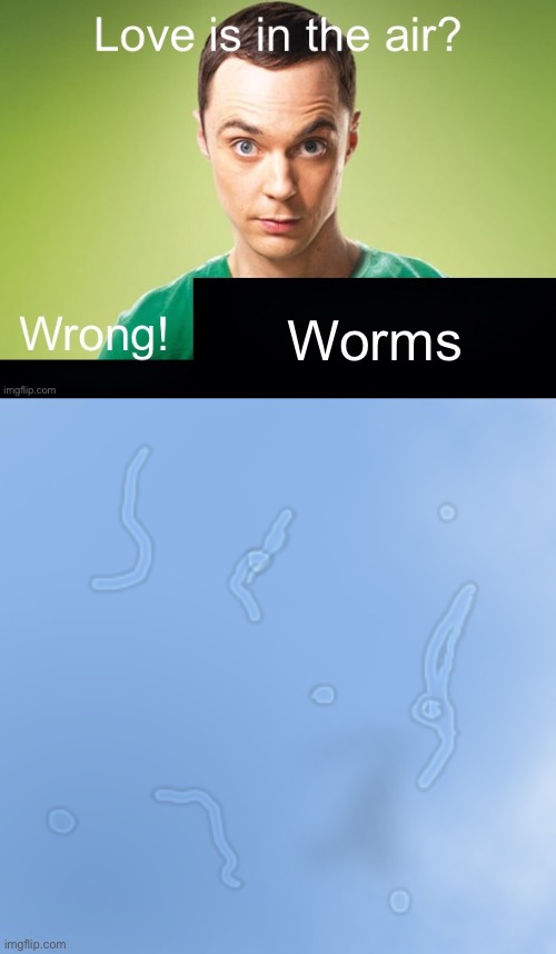 “um actually it’s called a floater” stfu | Worms | image tagged in love is in the air wrong x | made w/ Imgflip meme maker