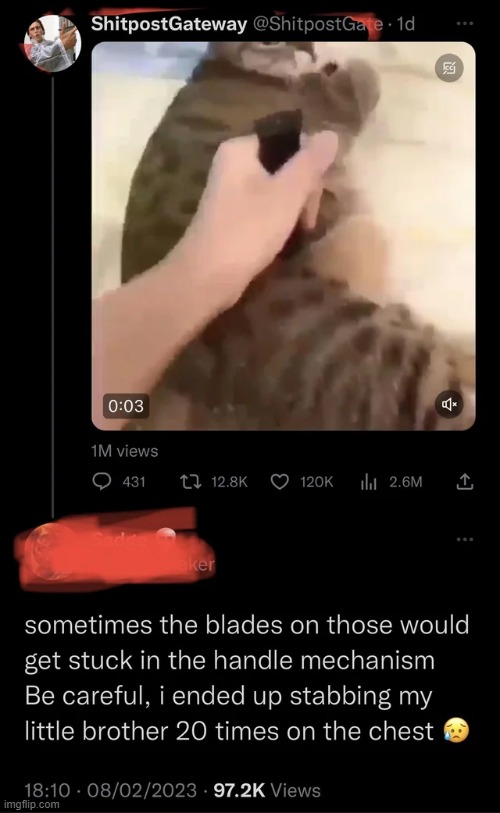 Cursed fake blade | image tagged in dark humor,cursed,comments,twitter,fake,memes | made w/ Imgflip meme maker