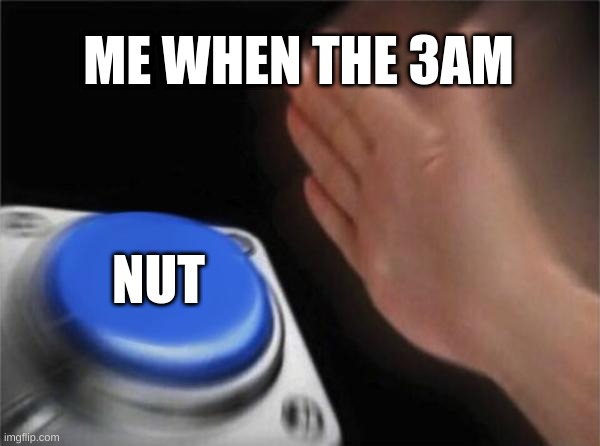 image title | ME WHEN THE 3AM; NUT | image tagged in memes,blank nut button | made w/ Imgflip meme maker