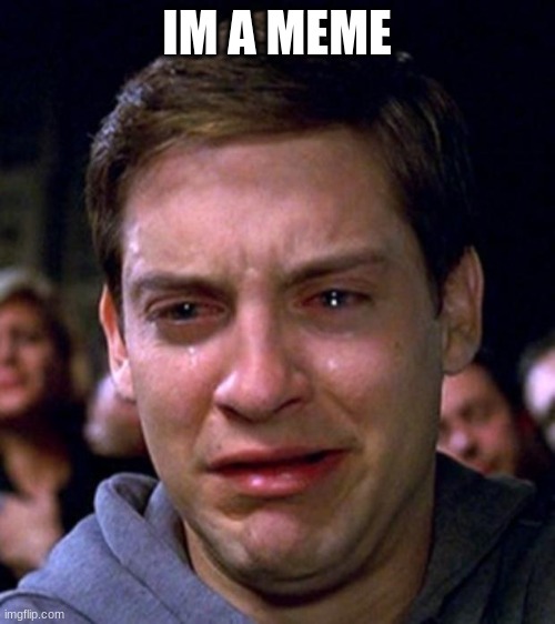 crying peter parker | IM A MEME | image tagged in crying peter parker | made w/ Imgflip meme maker