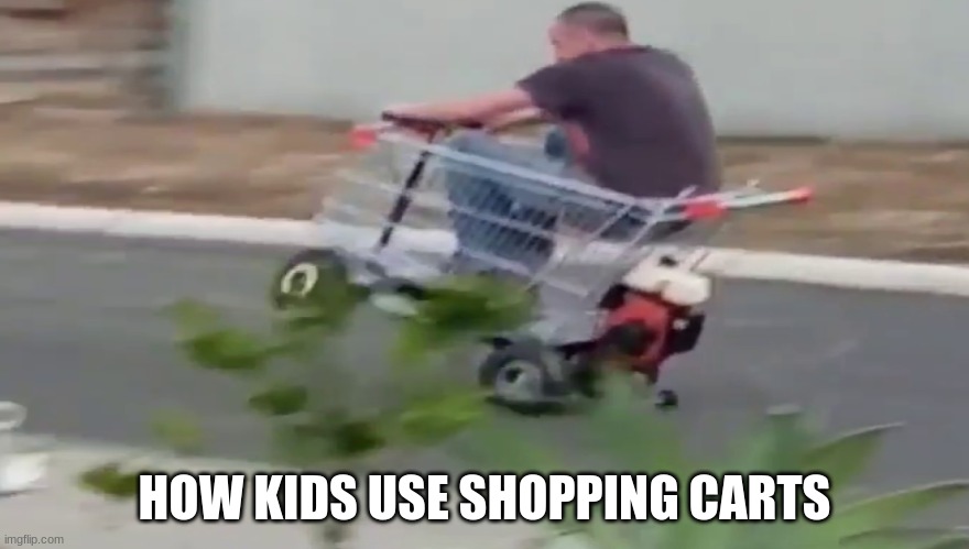 How kids use shopping carts | HOW KIDS USE SHOPPING CARTS | image tagged in funny memes,so true | made w/ Imgflip meme maker