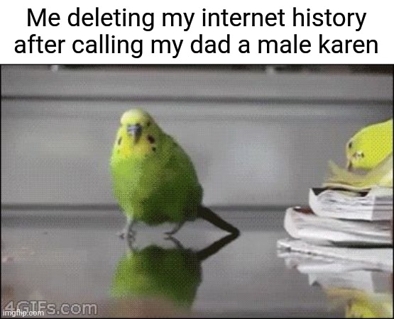 Me deleting my internet history after calling my dad a male karen | image tagged in explosion parakeet | made w/ Imgflip meme maker