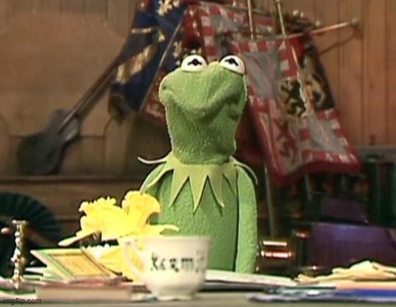 disgusted kermit | image tagged in disgusted kermit | made w/ Imgflip meme maker