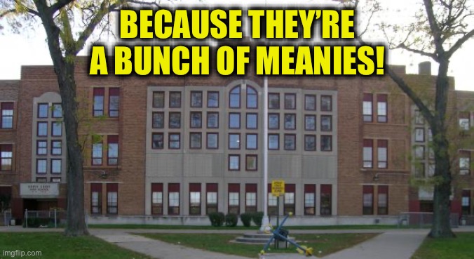 High School | BECAUSE THEY’RE A BUNCH OF MEANIES! | image tagged in high school | made w/ Imgflip meme maker