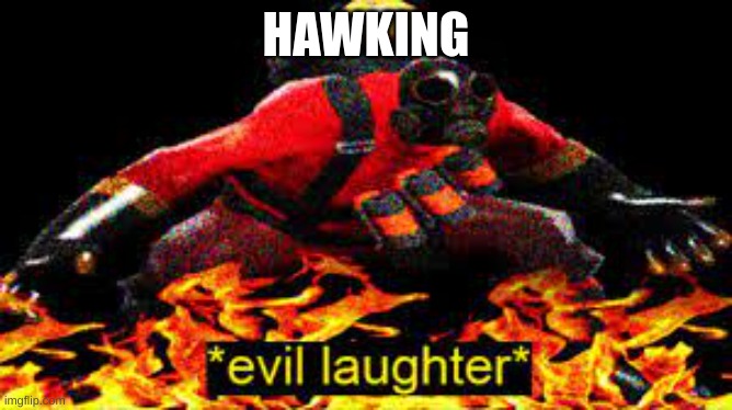 *evil laughter* | HAWKING | image tagged in evil laughter | made w/ Imgflip meme maker