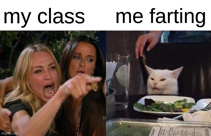 Woman Yelling At Cat Meme | my class; me farting | image tagged in memes,woman yelling at cat | made w/ Imgflip meme maker