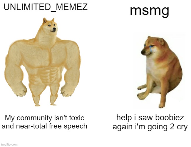 Buff Doge vs. Cheems | UNLIMITED_MEMEZ; msmg; My community isn't toxic and near-total free speech; help i saw boobiez again i'm going 2 cry | image tagged in memes,buff doge vs cheems | made w/ Imgflip meme maker