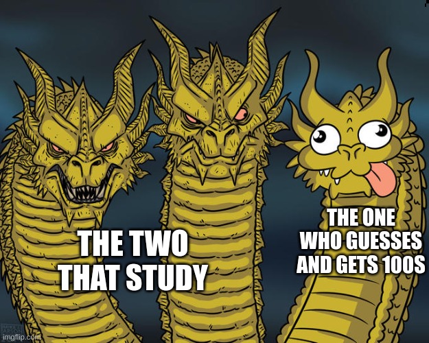Two studied one got luckey | THE ONE WHO GUESSES AND GETS 100S; THE TWO THAT STUDY | image tagged in three-headed dragon | made w/ Imgflip meme maker