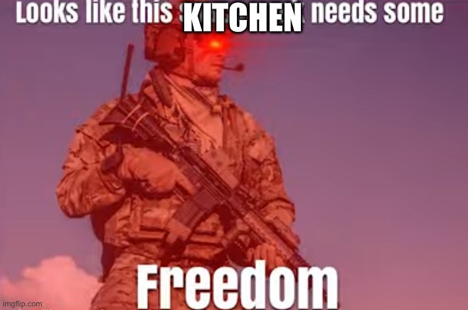 Looks like this space rock needs some freedom | KITCHEN | image tagged in looks like this space rock needs some freedom | made w/ Imgflip meme maker