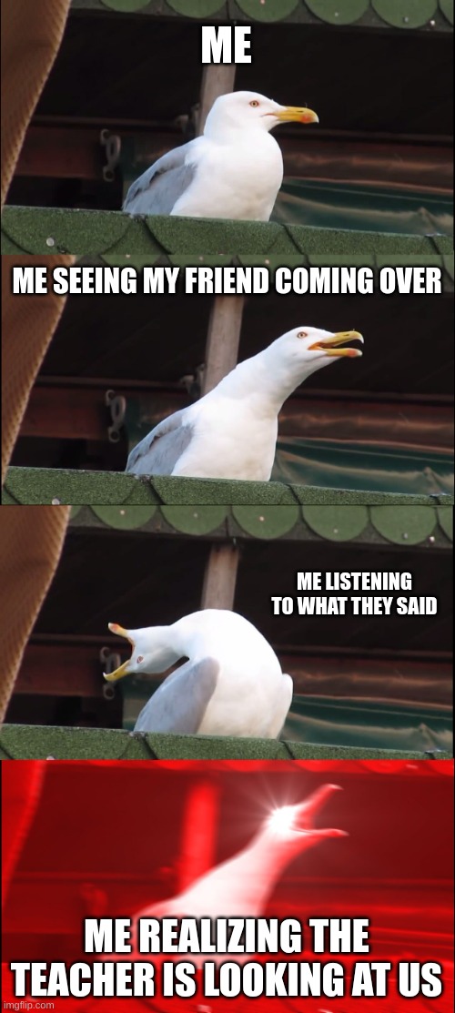 Inhaling Seagull Meme | ME; ME SEEING MY FRIEND COMING OVER; ME LISTENING TO WHAT THEY SAID; ME REALIZING THE TEACHER IS LOOKING AT US | image tagged in memes,inhaling seagull | made w/ Imgflip meme maker