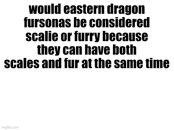Blank White Template | would eastern dragon fursonas be considered scalie or furry because they can have both scales and fur at the same time | image tagged in blank white template | made w/ Imgflip meme maker