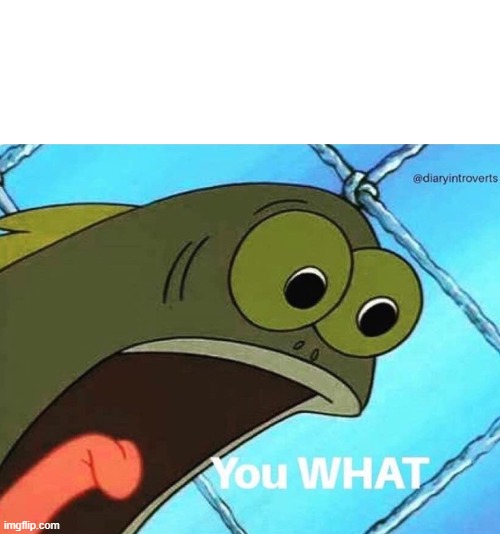 You what | image tagged in you what | made w/ Imgflip meme maker