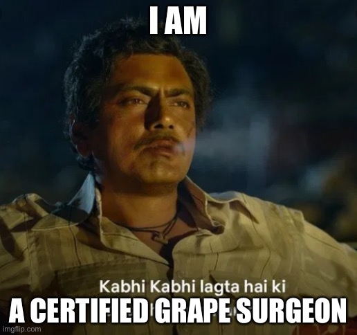 My status | I AM; A CERTIFIED GRAPE SURGEON | image tagged in apun hi bhagwan hai | made w/ Imgflip meme maker