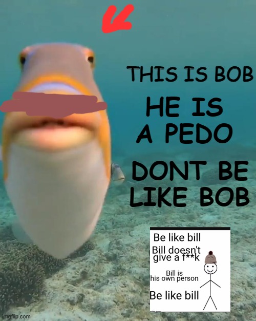 BE LIKE BILL MOTHERFU- | THIS IS BOB; HE IS A PEDO; DONT BE LIKE BOB | image tagged in staring fish,pedophile,bob,be like bill,funny,mems | made w/ Imgflip meme maker